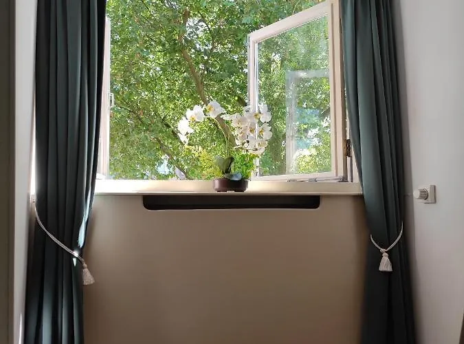 Elselina Bed & Breakfast Schiedam