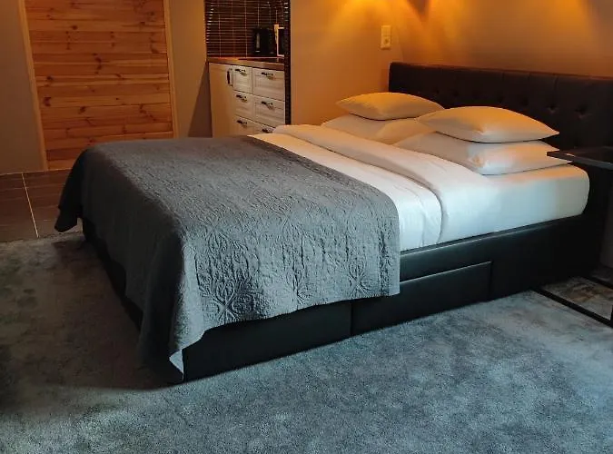 Elselina Схидам