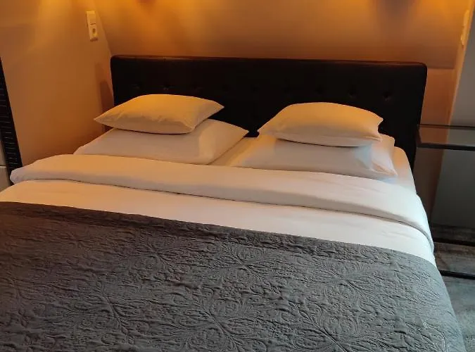 Elselina Схидам