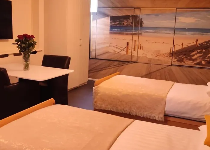 Elselina Схидам