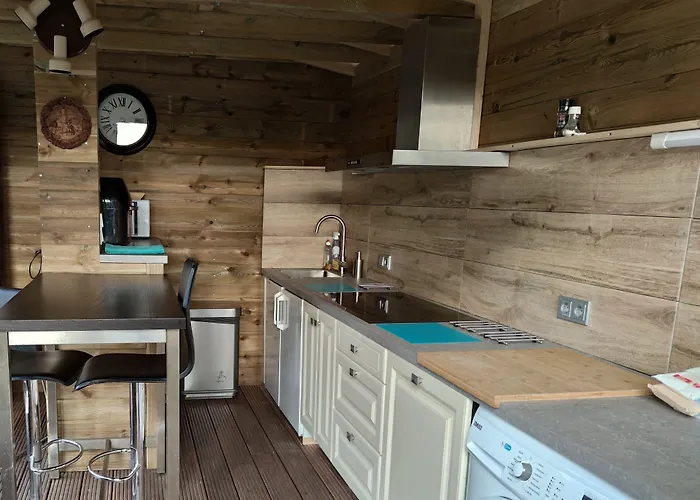 Elselina Схидам